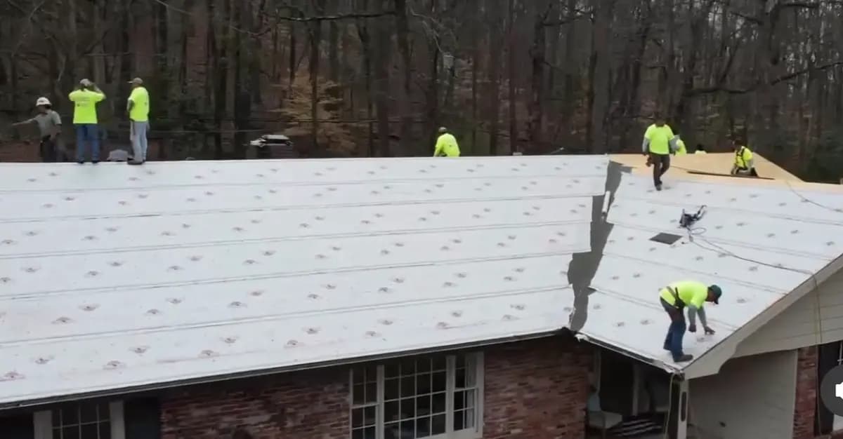 Roof Repairs local project gallery image 1.